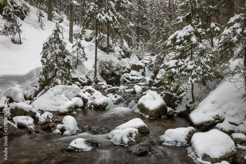 Bachlauf im Winter