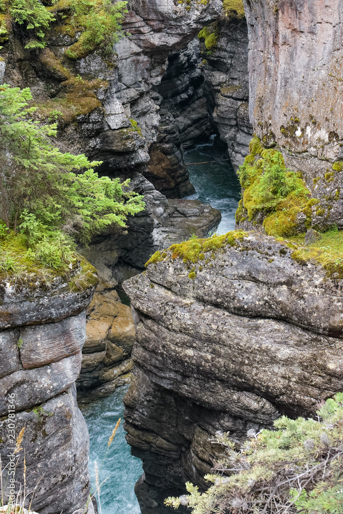 Stream with water from a glacier in Alberta, Canada