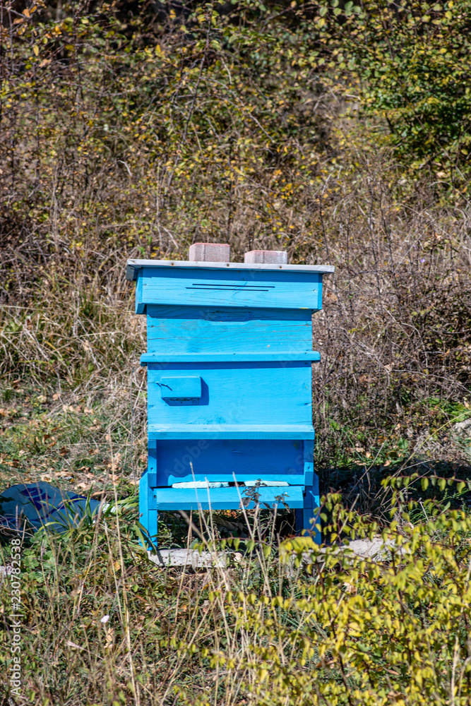 Beehive with bees in a honey farm. Wooden multi-colored beehive Beehive with bees in a honey farm. Wooden multi-colored beehive