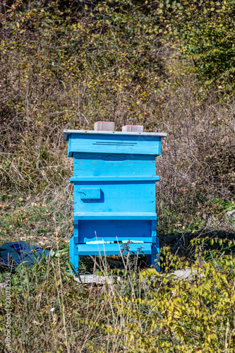 Beehive with bees in a honey farm. Wooden multi-colored beehive