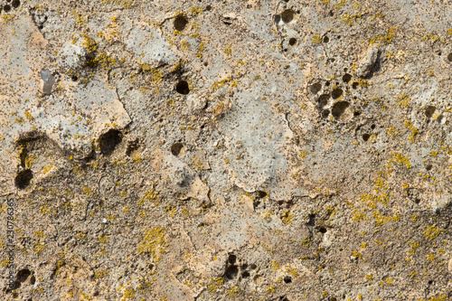 Asbestos slate texture concrete covered with lichen and moss