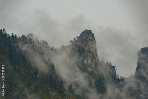 Autumn forest trees in Alpine. Majestic foggy sunrise over the mountain forest in autumn. Beautiful rural landscape.