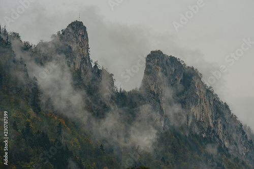 Autumn forest trees in Alpine. Majestic foggy sunrise over the mountain forest in autumn. Beautiful rural landscape.