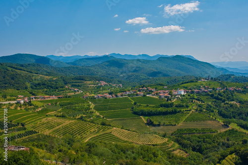 The landscape near the historic Slovenian village of Smartno in the Goriska Brda area in Primorska 