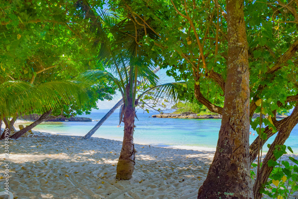 Beachview through trees on tropical island in front of blue ocean, caribbean beach and sea