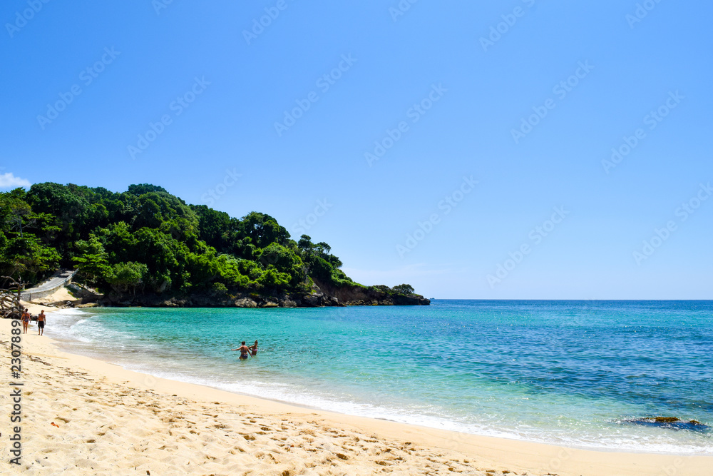 Caribbean beach with turquoise ocean, some tropical plants and palms. blue sky, paradise island, cayo levantado