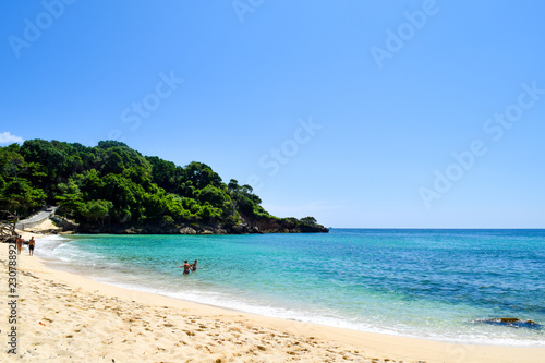 Caribbean beach with turquoise ocean, some tropical plants and palms. blue sky, paradise island, cayo levantado © Laila