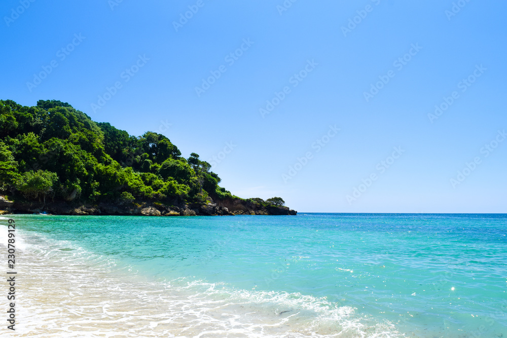Caribbean beach with turquoise ocean, some tropical plants and palms. blue sky, paradise island