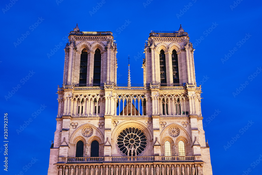 Fototapeta premium Notre-Dame de Paris front view at night