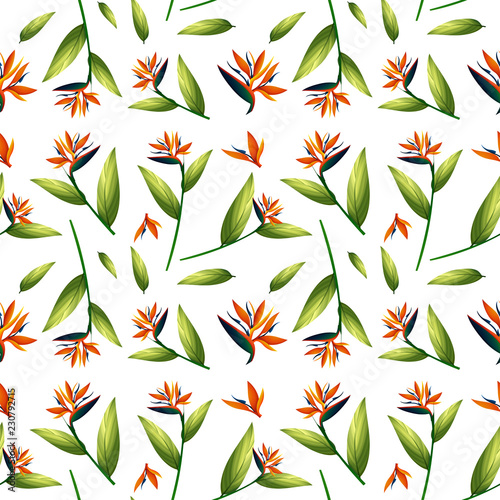 Bird of paradise seamless pattern