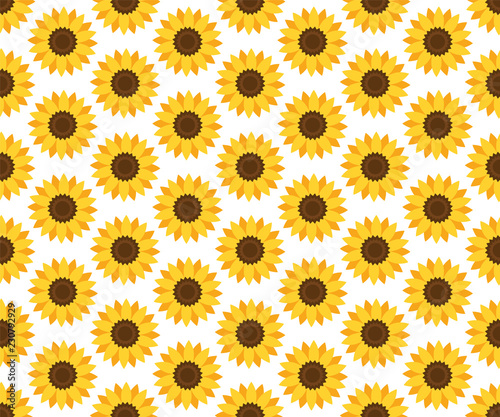 Vector seamless sunflower pattern. Floral pattern.
