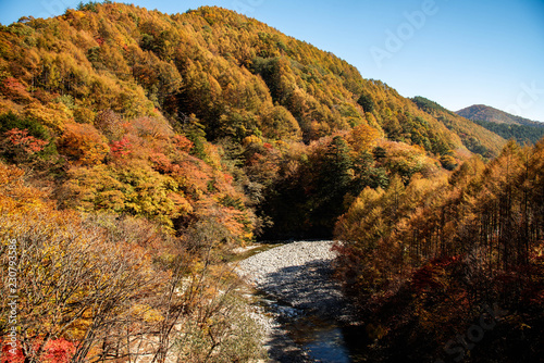 渓谷の秋 © Keiichi Wakui