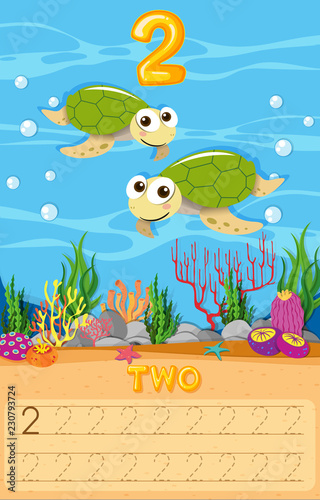 Two sea turtle number worksheet