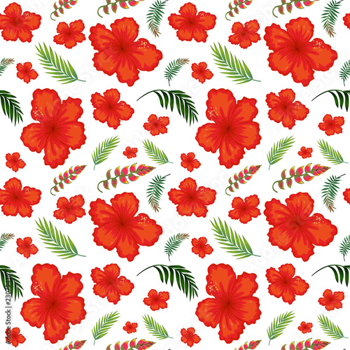 Fototapeta Naklejka Na Ścianę i Meble -  Hibiscus flower seamless pattern