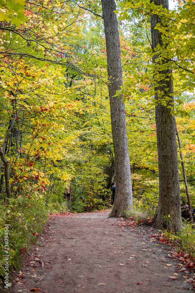 Fototapeta premium Path along the Gorge
