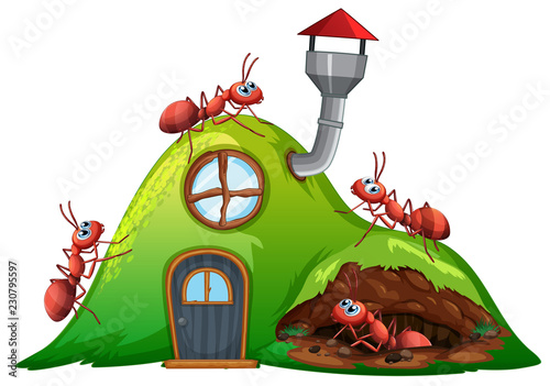 Ant hill house on white background
