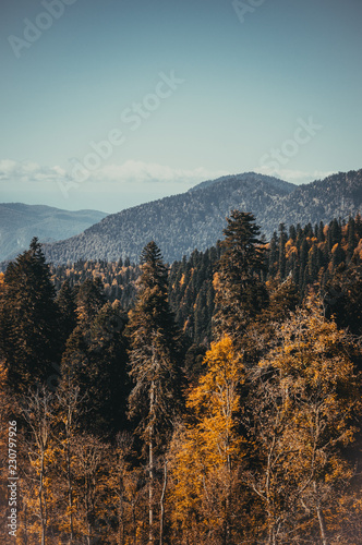 Autumn in the mountains of Krasnaya Polyana