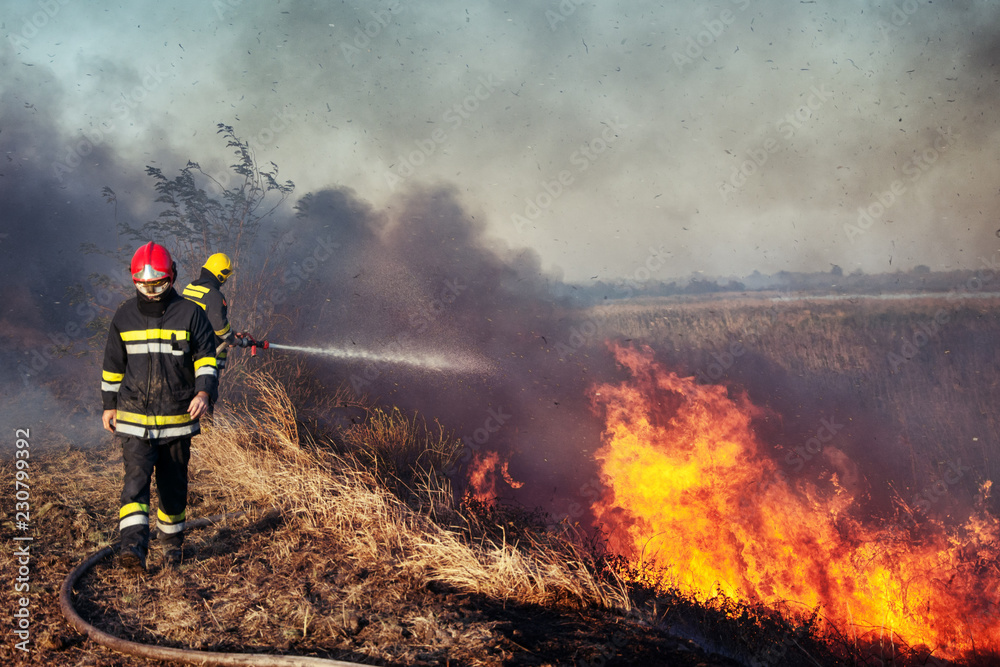 Fototapeta premium Firefighters battle a wildfire