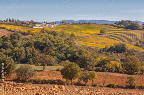 Picturesque Tuscany autumn landscape with plowed fields, yellow vineyards and village, Italy
