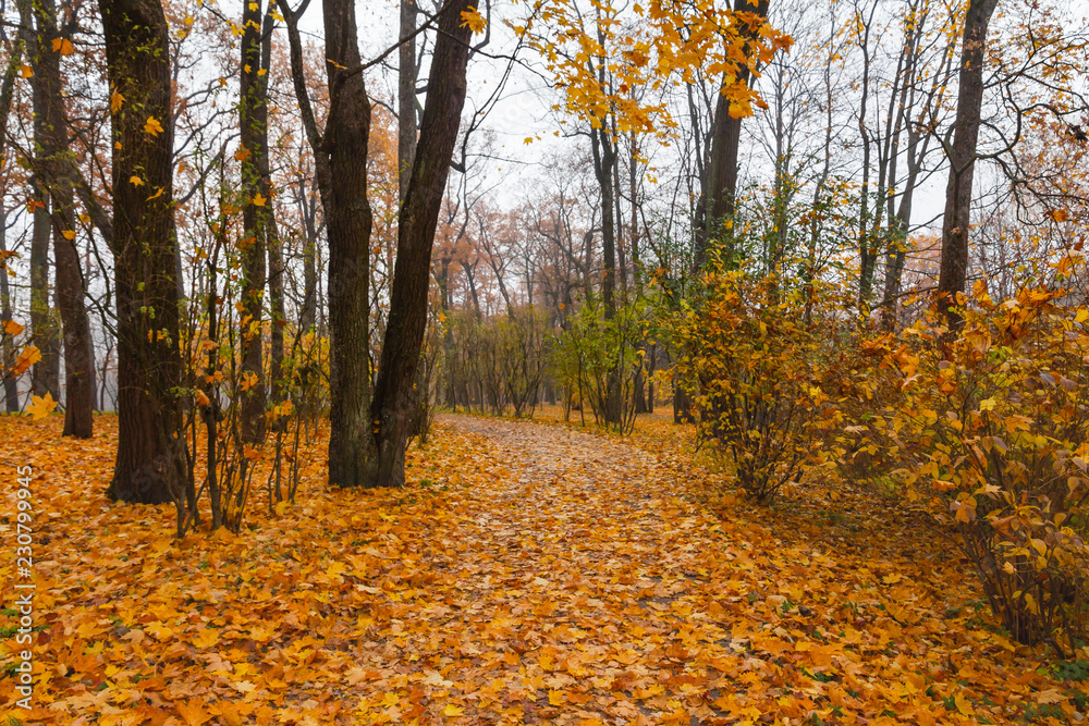 Autumn. Catherine Park. Pushkin, St. Petersburg, Russia Autumn. Catherine Park. Pushkin, St. Petersburg, Russia