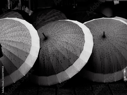 Photography Umbrellas