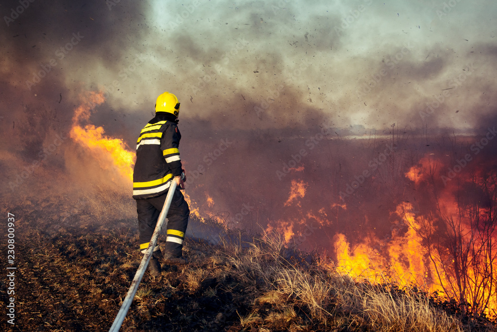 Obraz premium Firefighters battle a wildfire