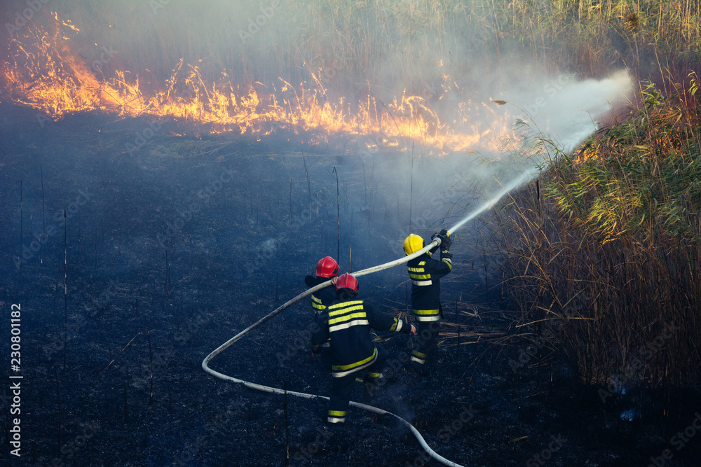 Obraz premium Firefighters battle a wildfire