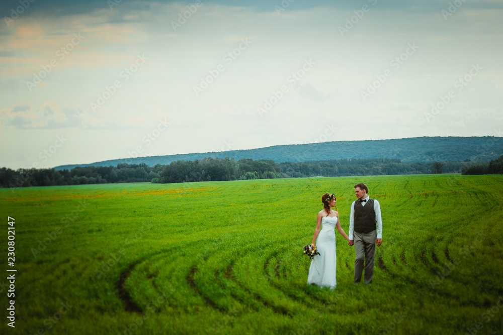 bride and groom stand on the background of the field bride and groom stand on the background of the field