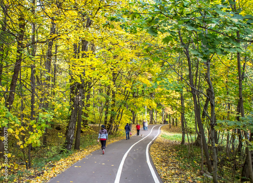 Walking golden autumn