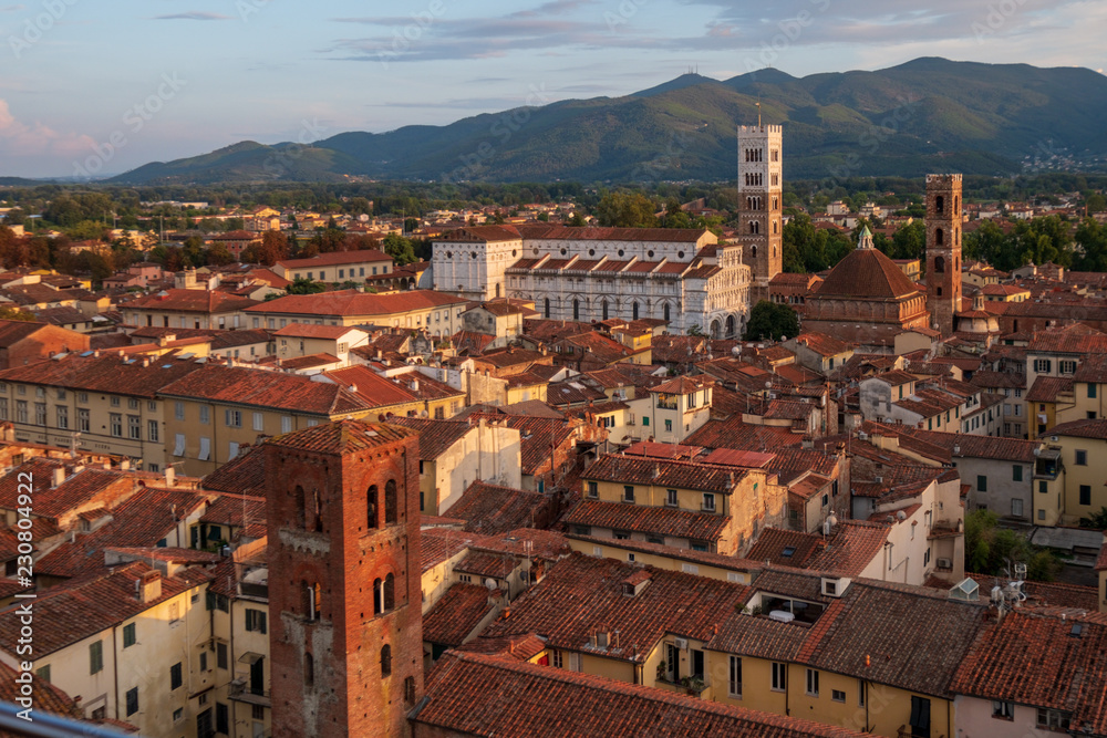 Lucca Italy seen from the Clock Tower (Torre delle Ore)