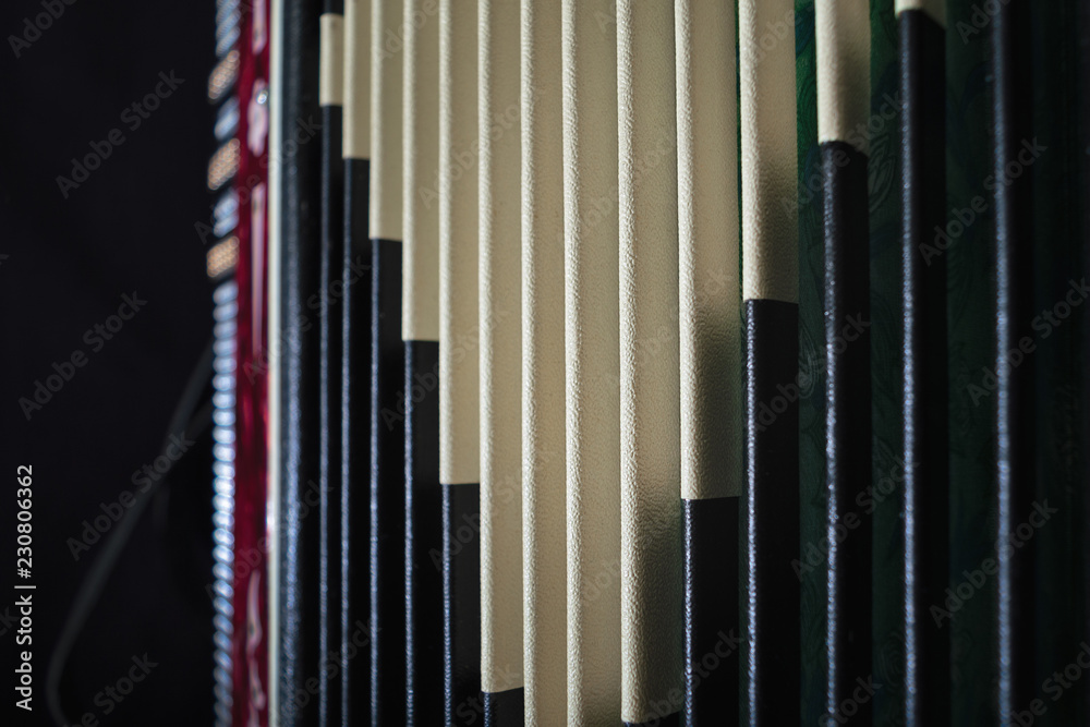 accordion close-up accordion close-up