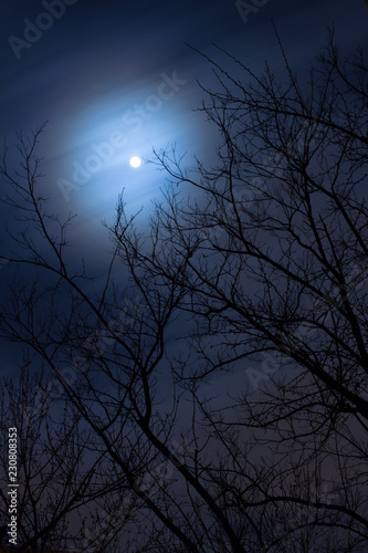 moon long exposure © philipp