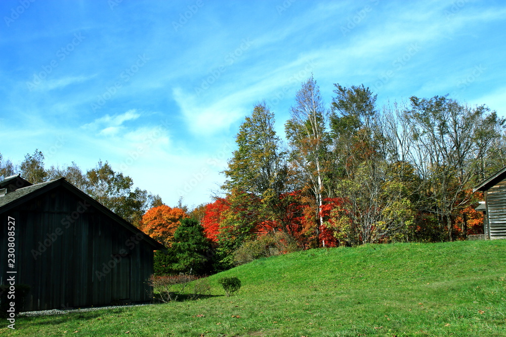 Obraz premium 北海道、札幌の公園の紅葉の風景