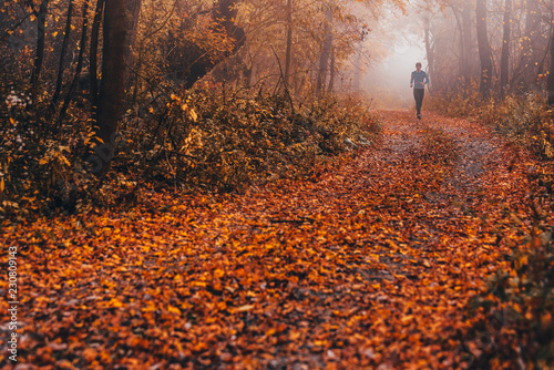 Obraz na płótnie Trail runner run in misty autumn forest