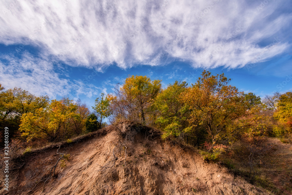Obraz premium Autumn landscape at the morning park. Autumn leaves