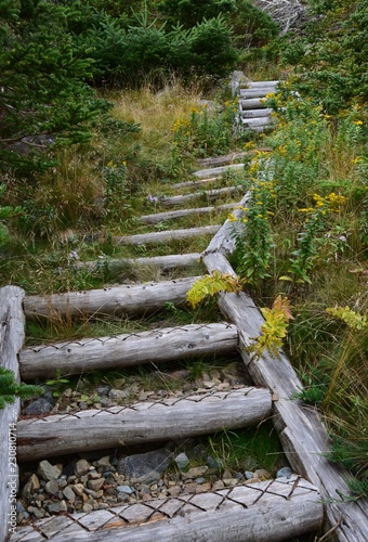 hiking path staircase along the  Father Troy   s Path  East Coast trail near Torbay  Avalon Peninsula  NL Canada