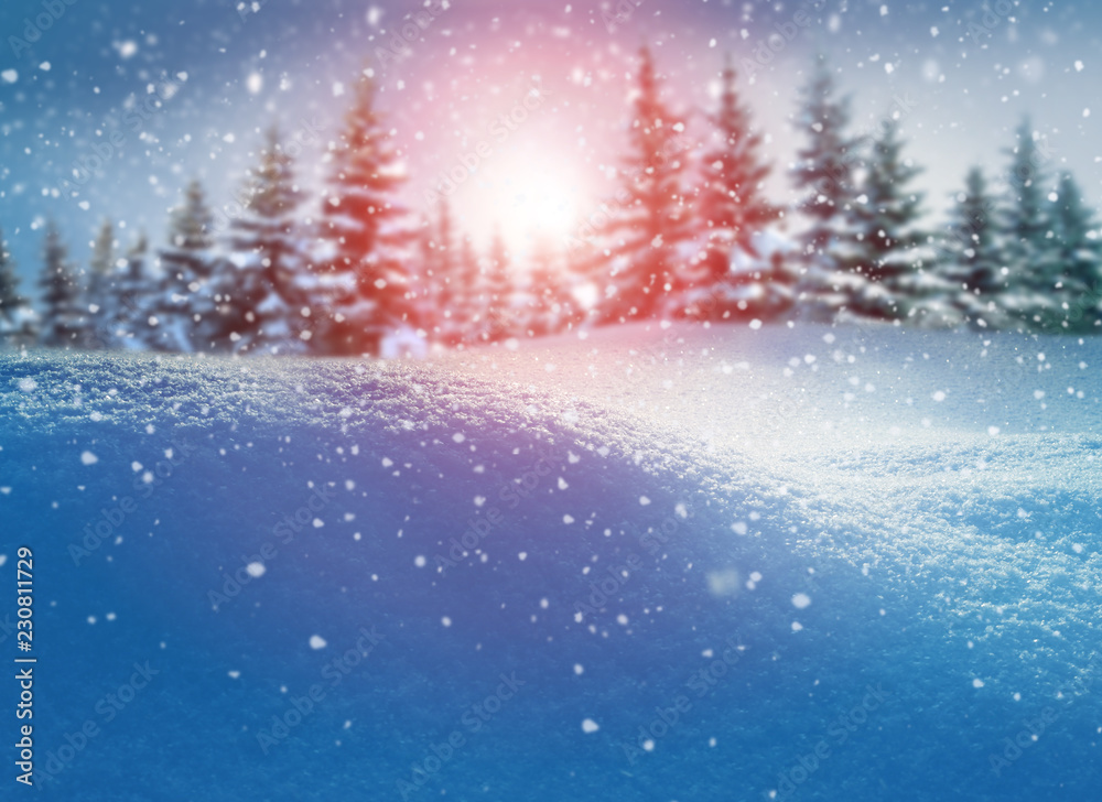Merry Christmas and happy new year greeting card. Winter landscape with snow .Christmas background with fir trees
