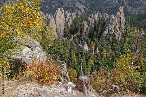 The Needles, paysage du Custer State Park en automne