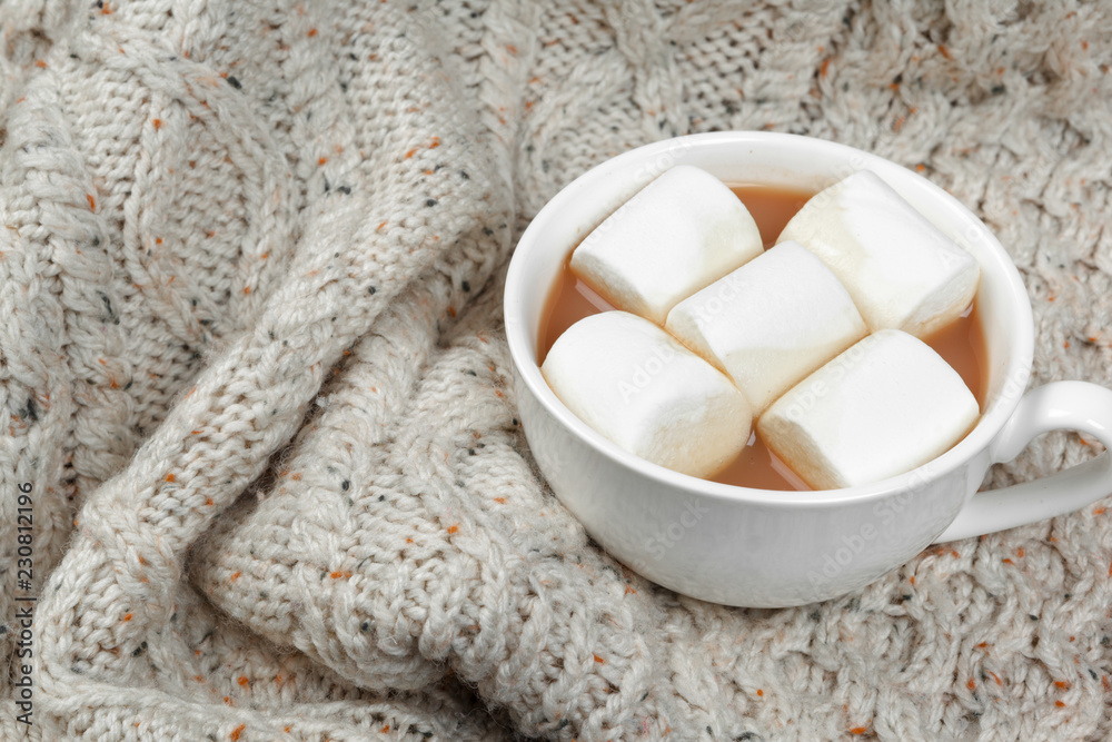 Hot chocolate with marshmallows on the table