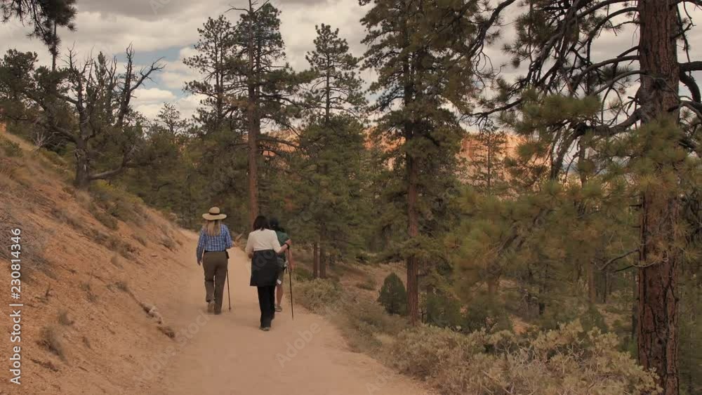 a group of active seniors hiking on a trail in the nature, healthy lifestyle a group of active seniors hiking on a trail in the nature, healthy lifestyle