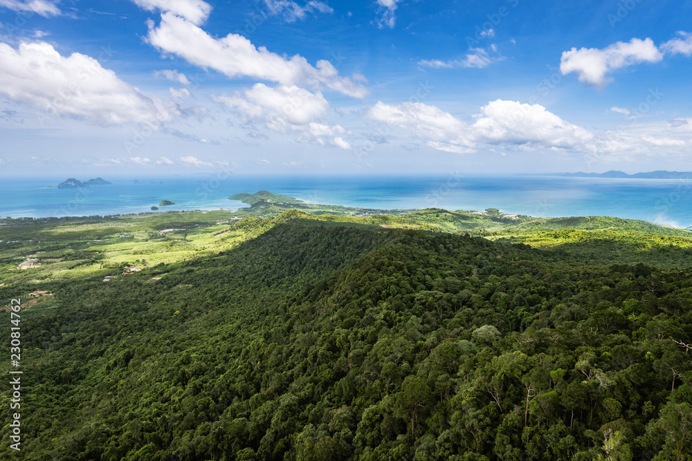forest and sea view from mountain top