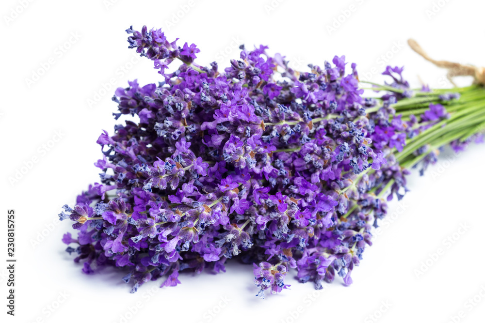 Fototapeta premium Kwiaty lawendy na białym tle