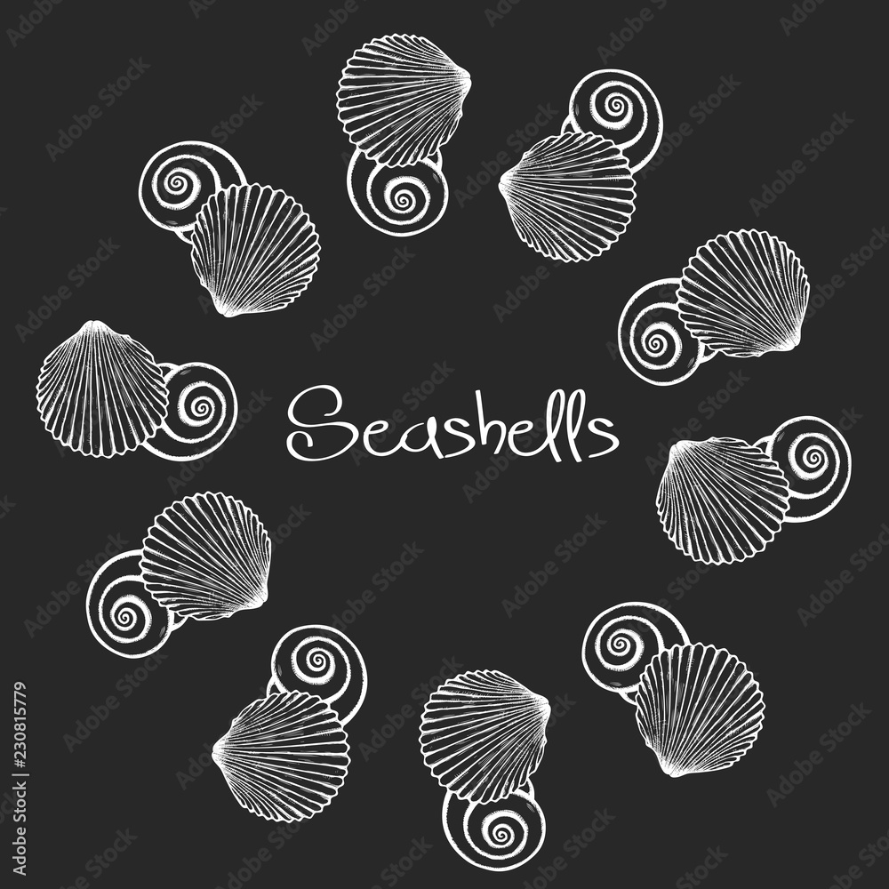 Fototapeta seashells wreath
