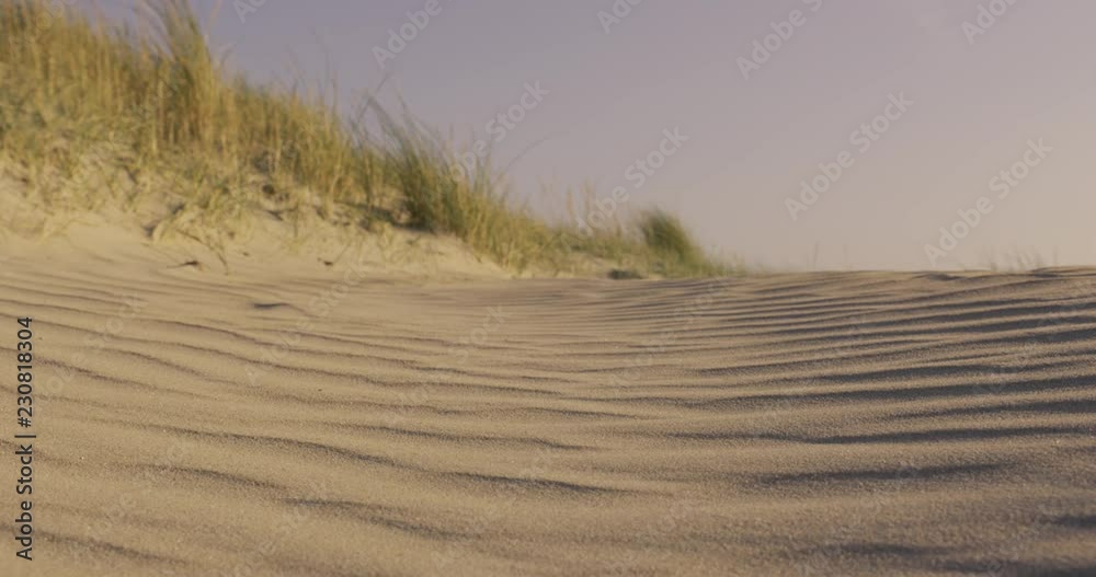 beach in autumn - denmark