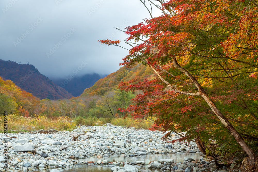 みなかみ町湯桧曽川紅葉 Stock Photo Adobe Stock みなかみ町湯桧曽川紅葉 Stock Photo Adobe Stock