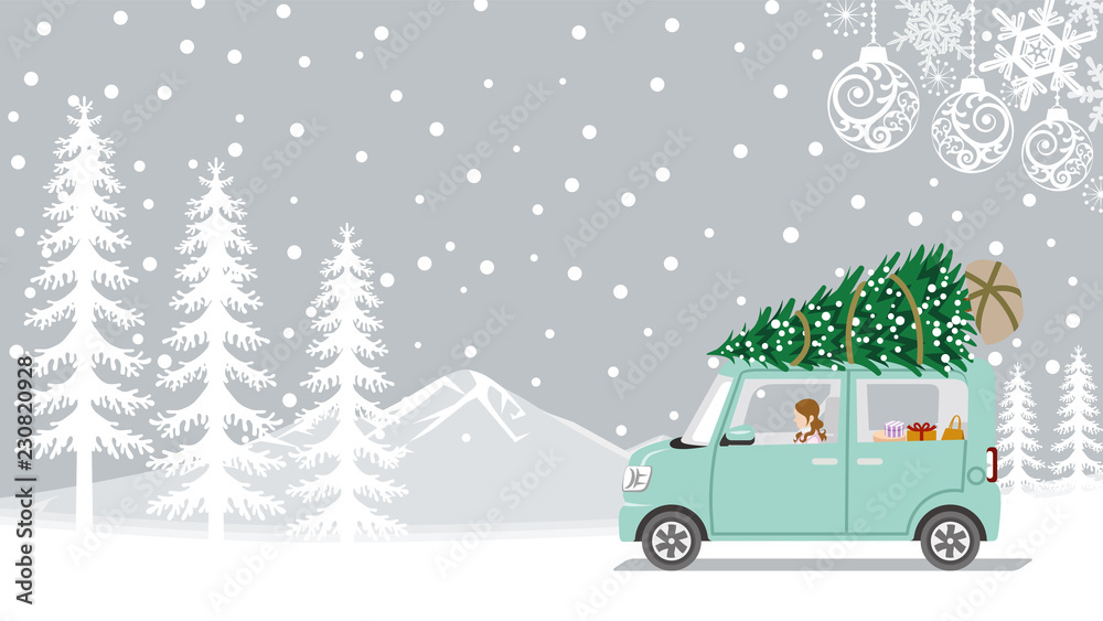 Obraz premium Young woman riding the car which loaded the Christmas tree - Winter nature and ornament background