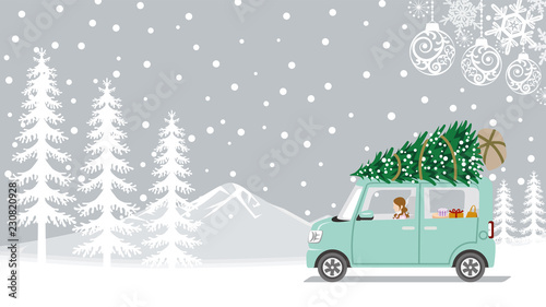 Young woman riding the car which loaded the Christmas tree - Winter nature and ornament background
