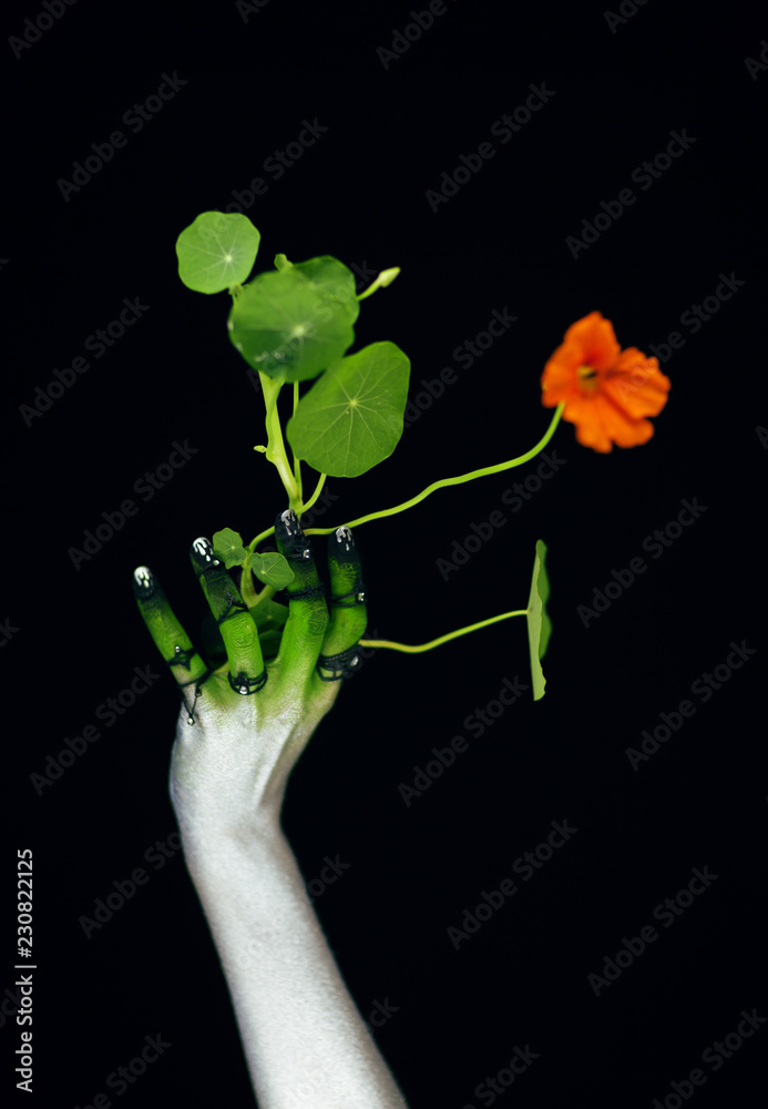 Creepy halloween hand in green and silver with plant, zombie hand on black background Creepy halloween hand in green and silver with plant, zombie hand on black background