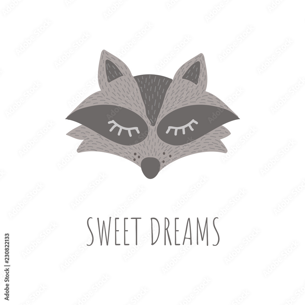 Vector Illustration with cute animal on white background. Funny Raccoon. Retro style.Sweet dreams phrase. Perfect fo kids cards, posters, book illustration and other design projects. EPS10 Vector Illustration with cute animal on white background. Funny Raccoon. Retro style.Sweet dreams phrase. Perfect fo kids cards, posters, book illustration and other design projects. EPS10