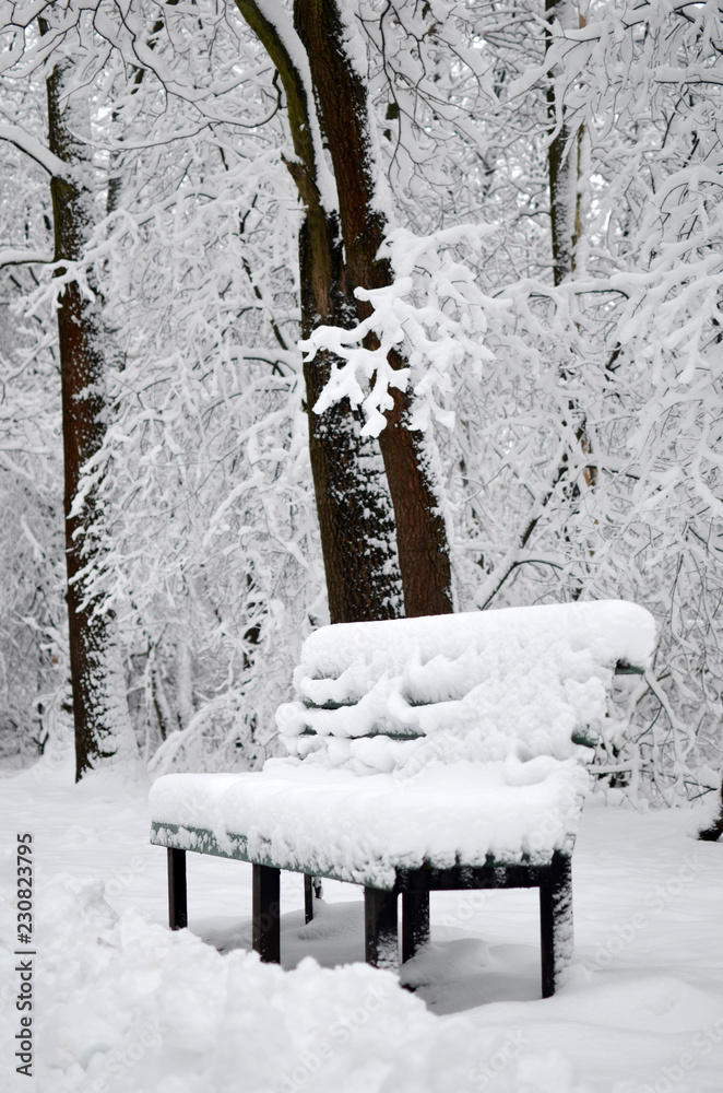 Snow-covered winter park and benches. Winter landscape Snow-covered winter park and benches. Winter landscape